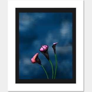 Black Calla Lilies Pink Center Posters and Art